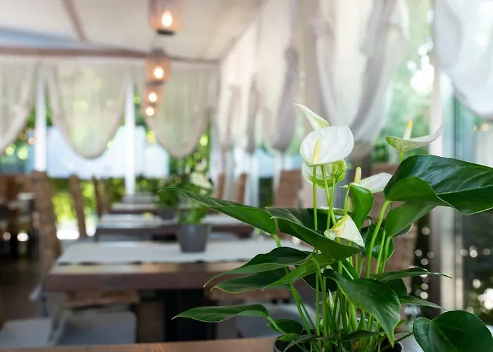 Silver Ξενοδοχείο